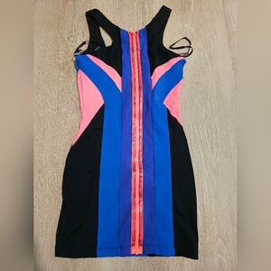 Bebe Bodycon Colorblock Dress